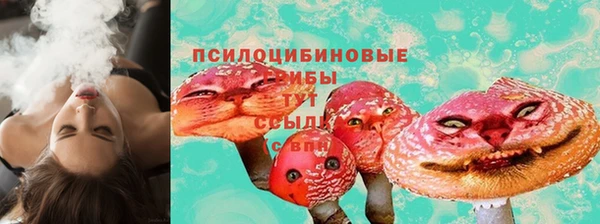 дживик Белокуриха